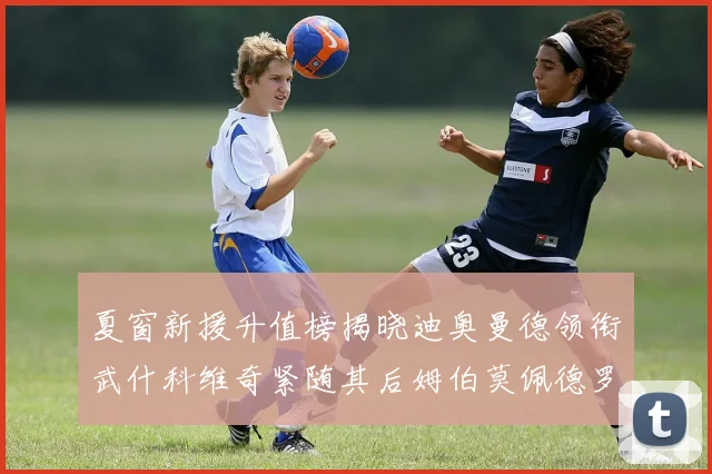 夏窗新援升值榜揭晓迪奥曼德领衔武什科维奇紧随其后姆伯莫佩德罗表现抢眼